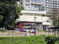 Bedok Town Centre (D16), Shop House #460044661